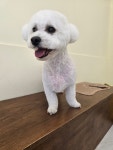 바버펫 나주빛가람점