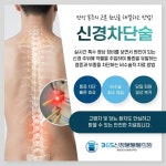 365신정본튼튼의원