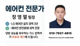 쿨