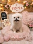 왈왈이발소