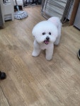 피플앤독
