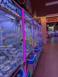 킹덤오락실 킹덤월드점