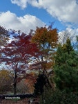 채운산방