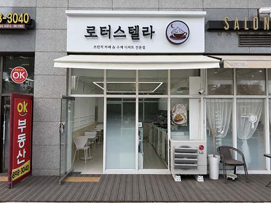 로터스텔라 사진