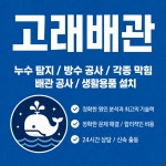 청년배관청소누수싱크대역류변기막힘하수구막힘뚫는종합설비업체 | 북구누수탐지변기싱크대하수구막힘뚫는설비업체고래배관