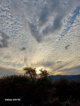 채운산방