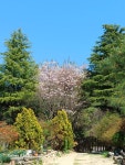 채운산방