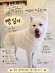바버펫 나주빛가람점