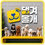댕겨올개 애견유치원 & 애견호텔
