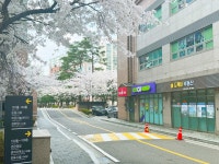 도깨비부동산공인중개사사무소