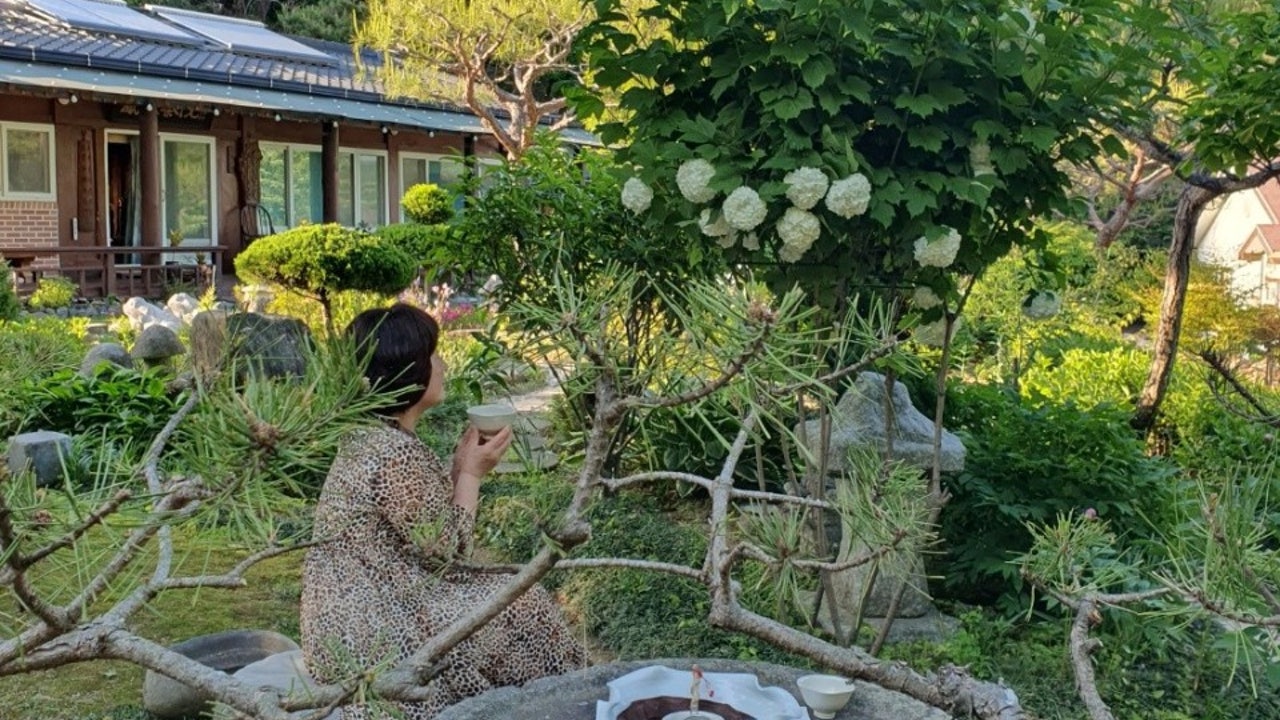 차마실