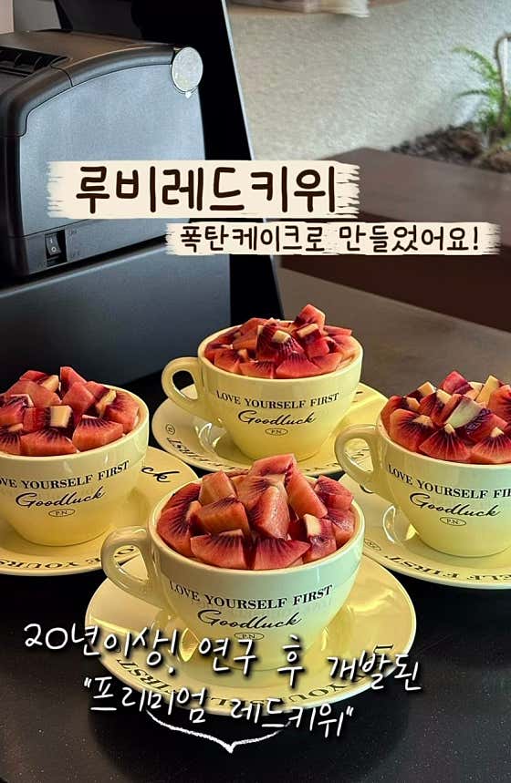 알바 카페 사진