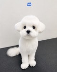 헬로우버디 그루밍센터 애견미용 홍대점