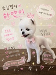 바버펫 나주빛가람점