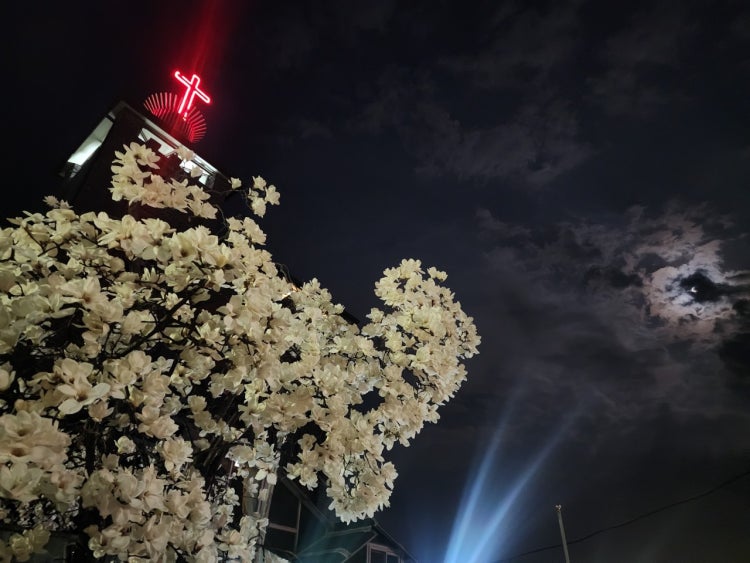능국교회 사진 2