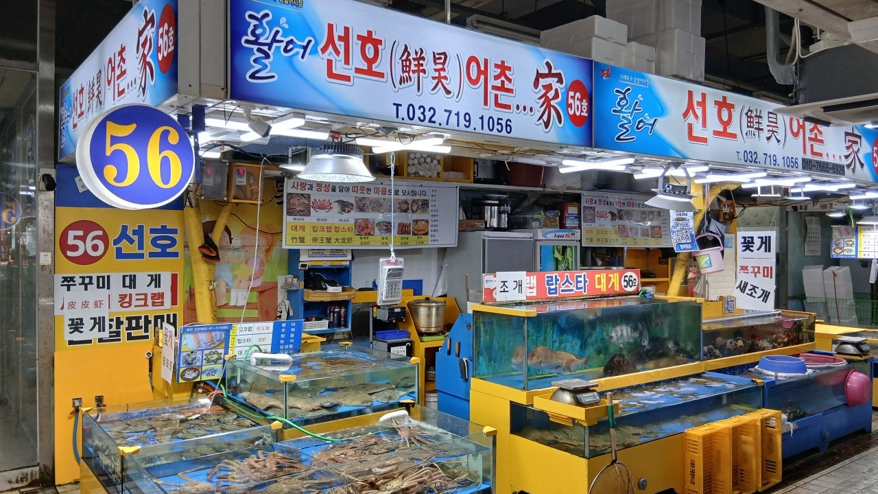 선호어촌