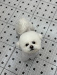 산책가자멍