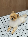 산책가자멍