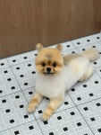산책가자멍