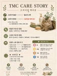 미사 고양이 미용 호텔 묘미앤