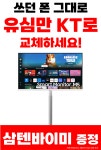KT 이룸텔레콤 부사점