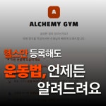 알케미짐