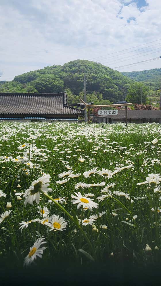 카페 유담 사진