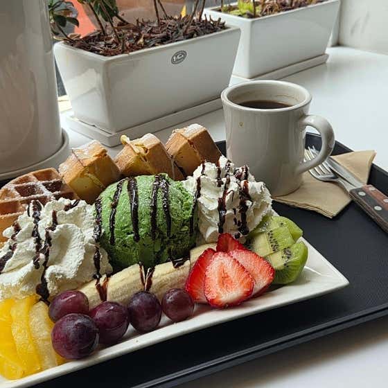 커피요정 사진
