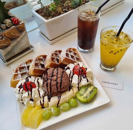 커피요정 사진