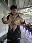 뚜루실내바다낚시터 천안점