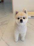 미니멍살롱
