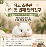 광주 고양이분양 펫엔글라이더 본점 로던트클럽 광주