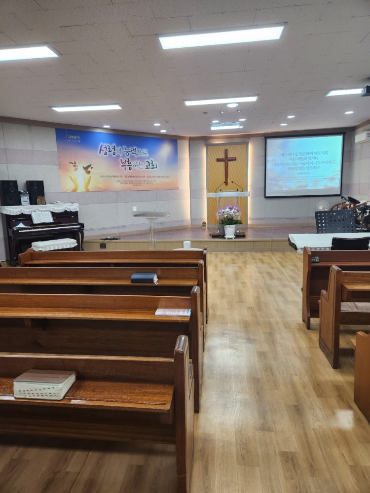 세계로선교교회 사진 3