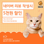 고양이미용실 방울선생