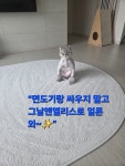 천안눈썹왁싱두피탈모뷰티플로에모리바이브 | 천안왁싱 그날엔엘리스