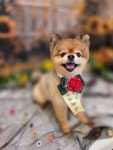 유니스펫살롱