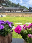 별뚜루