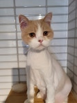 김냐옹미용실