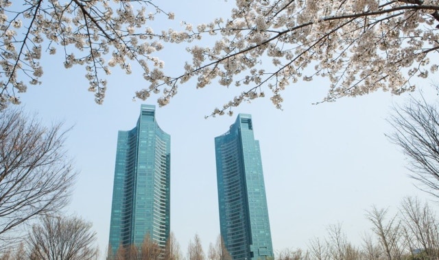 보테가마지오 사진 3