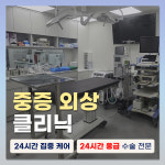 24시 서울YES동물병원