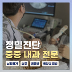 24시 서울YES동물병원