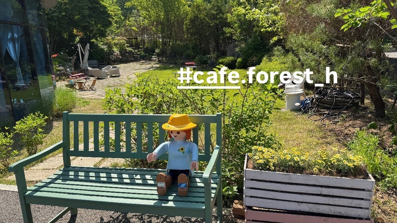 CAFE FOREST H