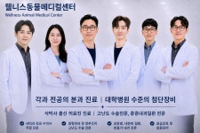 웰니스동물메디컬센터