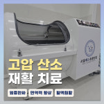 24시 서울YES동물병원