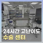 24시 서울YES동물병원