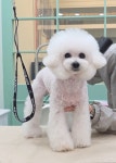예쁘개해줄개