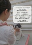 다듬다펫미용실