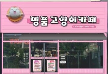 명품고양이카페