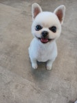 예쁘댕