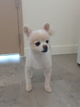 예쁘댕